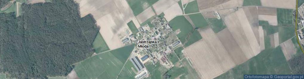 Zdjęcie satelitarne Jastrząbka Młoda ul.